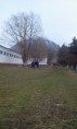 /album/fotogalerie-clanky/a2015-02-10-16-39-46-jpg/